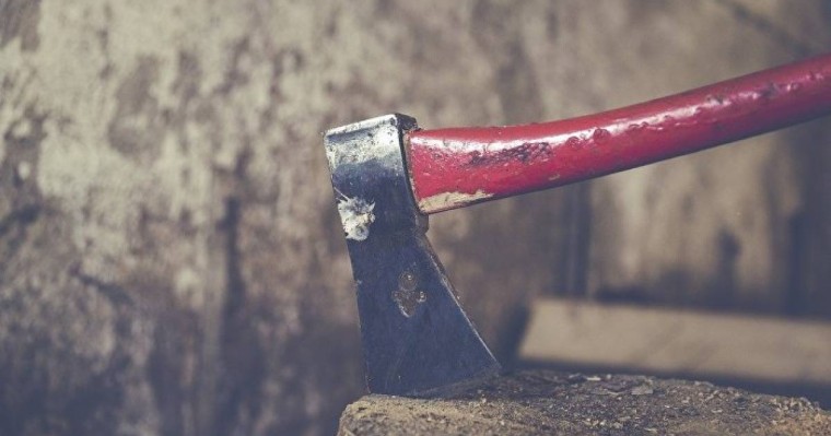 16 жастағы бозбала бүкіл отбасын балталап өлтіріп, өз-өзіне қол салды