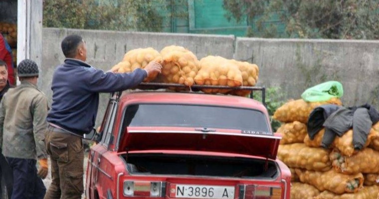 Қазақстан Қырғызстаннан келетін көкөніс, жеміске шектеуді алып тастауға дайын