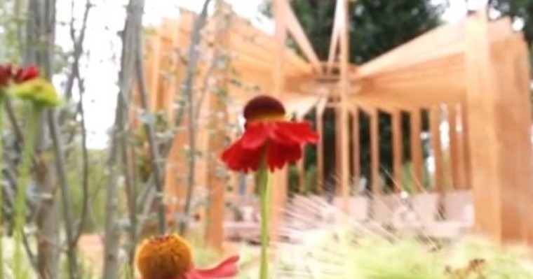 Мәскеудегі "Қазақ бағы" жайлы не білеміз?