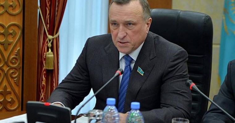 谢尔盖·格罗莫夫被任命为环保部副部长