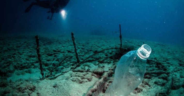 加拿大宣布2021年起禁用一次性塑料用品