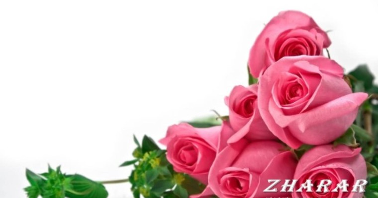 1 Наурыз - Алғыс айту күні (Қазақша - орысша сценарий)