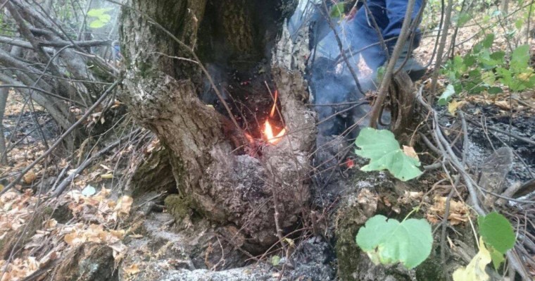 Қарағанды облысындағы ұлттық парк орманы өртеніп жатыр