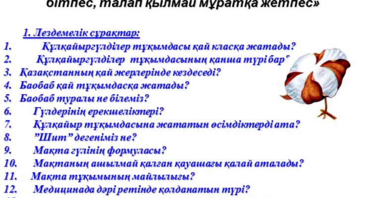 Презентация (слайд): Бұршақ тұқымдастар