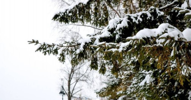 Көктемнің алғашқы күні елімізде ауа-райы қандай болмақ