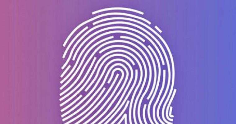 Адам денесіндегі өзгермейтін белгілер