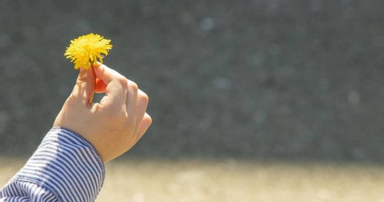 Митингтегі фото, гүл сыйлаған қыз