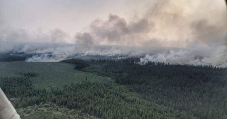 Сібір орманындағы өрттен 13 мыңдай аң зардап шеккен