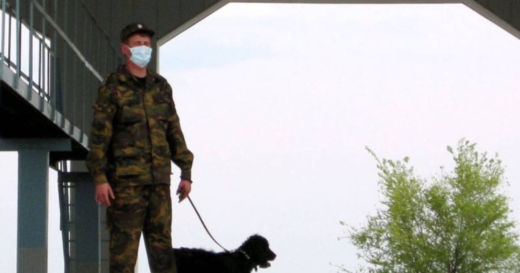 Тараз полицейлері Қытай азаматтарының заңсыз көші-қонын ұйымдастырған