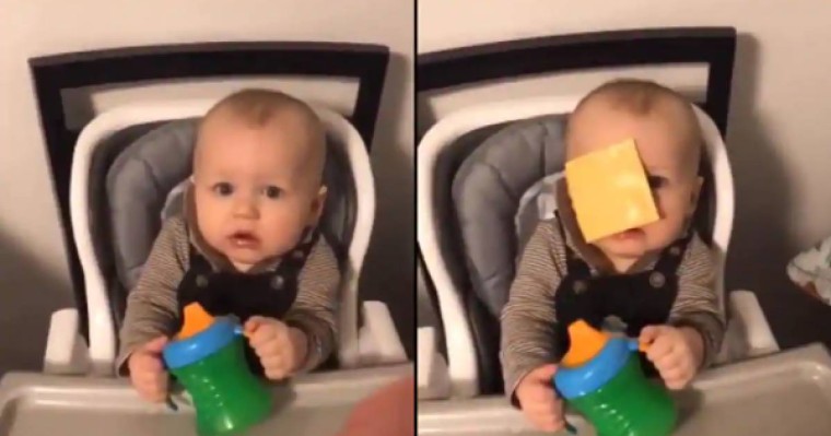 ​Қызық флешмоб: Балалардың бетіне ірімшік лақтыру желіні жарды