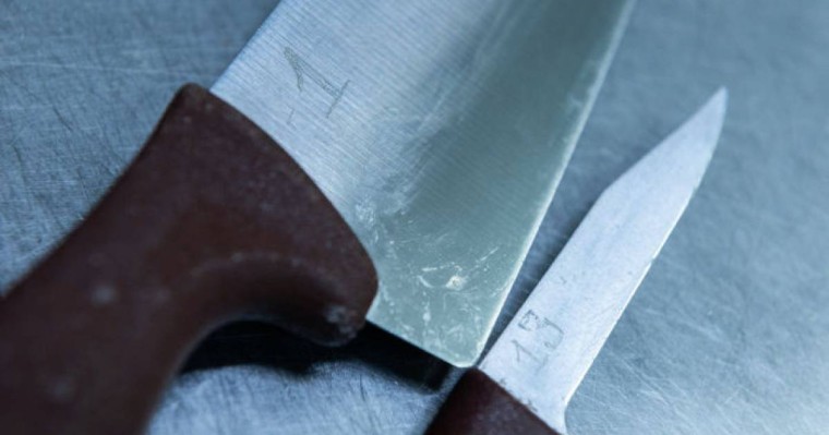 Солтүстік Қазақстанда әйел мен 3 жасар қызының қанға боялған денесі табылды