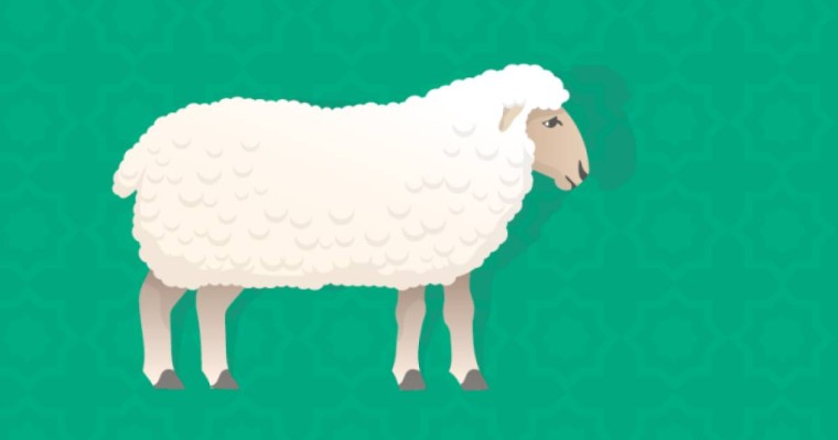 Құрбан айт 2019: құрбандық шалу шарттары