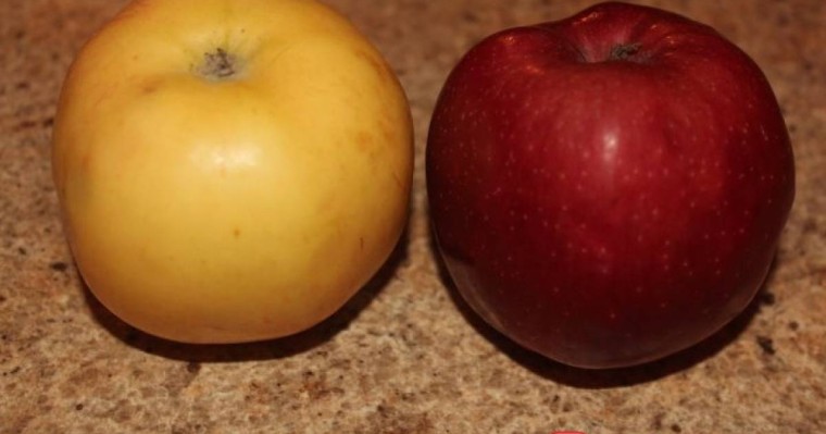 Шаш шаятын сұйықтық дайындайық