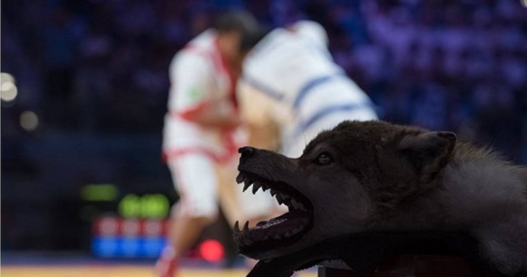 Айбек Нұғымаров "Қазақстан барысы" турнирінде жеңіске жетті