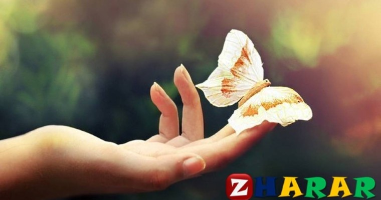 Саған адал әйел