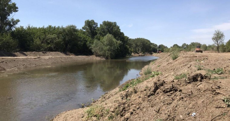 Ақтөбе өзендерін тазалаған кезде ағаштарды заңсыз отағандар үстінен іс қозғалды