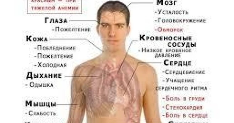 Анемиядан арылу жолдары