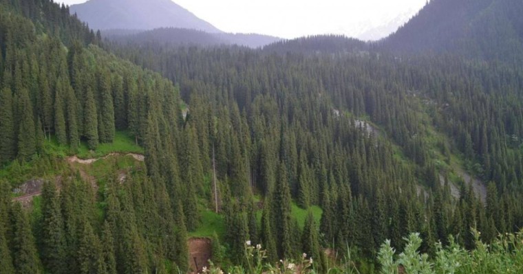 Сауат ашудан сабақ жоспары: Хат жазу Саяхат сәттері (1 сынып, 5 бөлім ) » ZHARAR