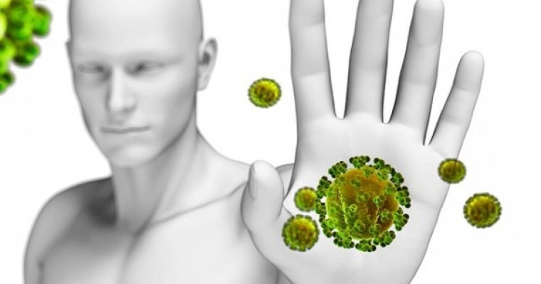 Иммунитетті көтерудің 14 тәсілі |