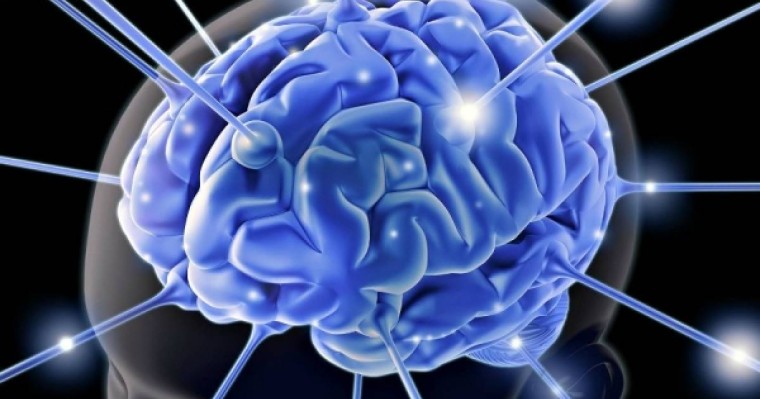 Ми жұмысына әсер ететін факторлар