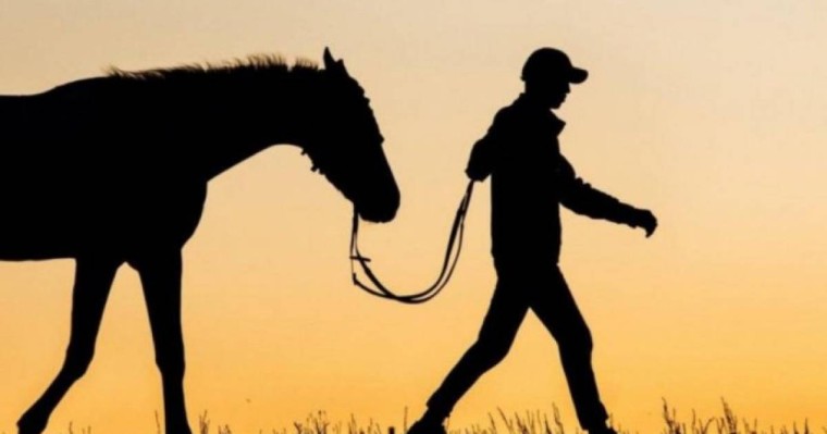 Жамбыл облысында асылып қалған малшы полиция инспекторынан қысым көргенін айтады