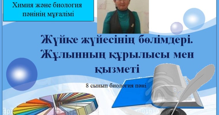 Презентация (слайд): Жүйке жүйесінің бөлімдері