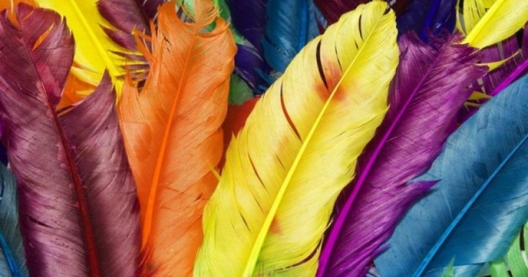 Бір түске деген құмарлық нені білдіреді?