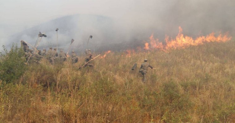Алматы облысында таудағы өртті сөндіру кезінде үш адам мерт болды