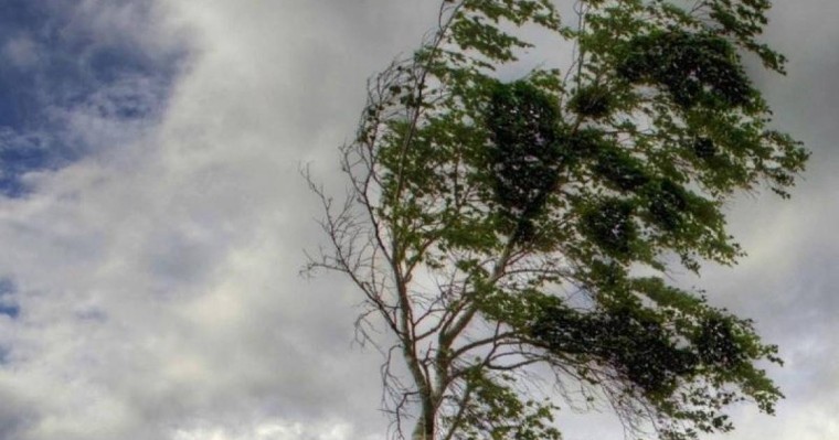天气：3日大部分地区迎来强风天气