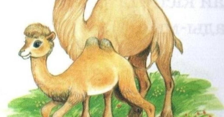 Қазақ тілінен сабақ жоспары: Үй жануарлары (4-сабақ) (1 сынып, 4 бөлім ) » ZHARAR