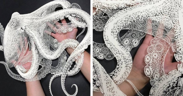 Скальпельмен ойылған суреттер - Суреттер сөйлейді - Bilim