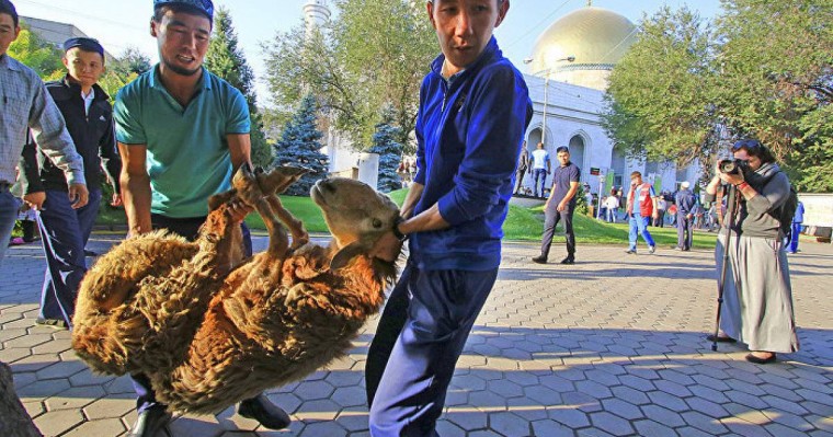 Құрбан айт - 2019: мешітте құрбандық шалу шарттары қандай