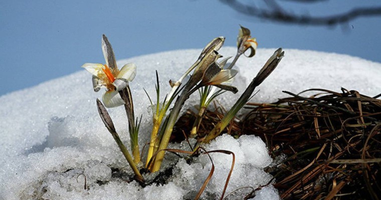 28 ақпан мен 2 наурыз аралығында ауа райы қандай болады