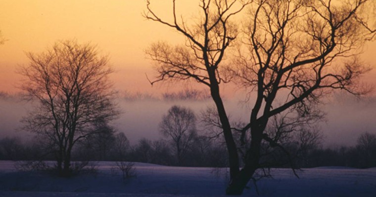 Қостанай облысында екі әйел үсіп өлді