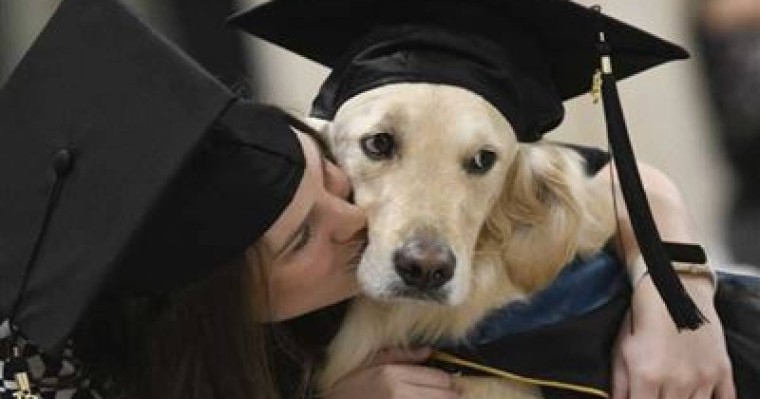 Университеттердің бірінде ит магистр дәрежесін алды