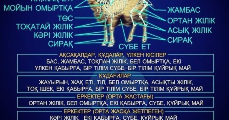 Табақ тартуды білеміз бе