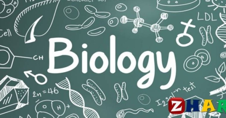 Реферат: Биология | Автоподий » ZHARAR