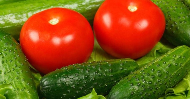 2019年6月国内农产品价格信息