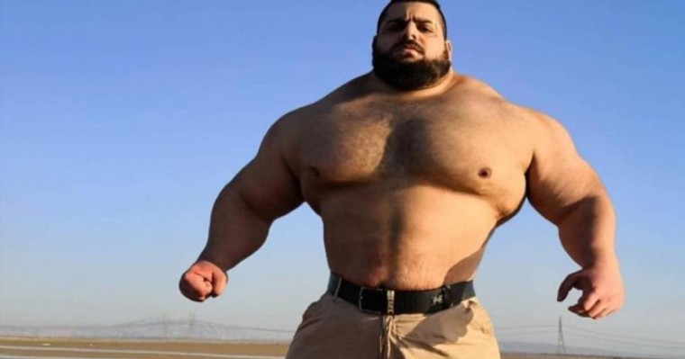 Ирандық Халк пен бразилиялық Халк MMA ережесі бойынша төбелеседі