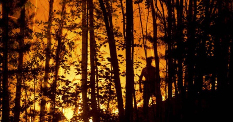 тұрғындар төтенше жағдай тәртібін енгізуді сұрайды