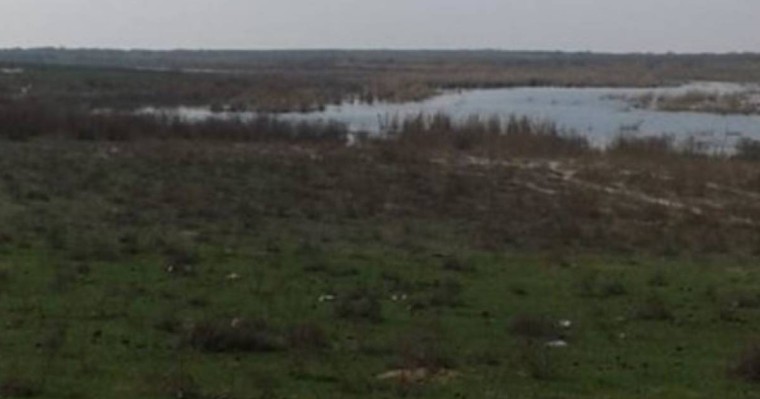 Өзбекстанмен шекарадағы Қоғалы тұрғындары "жер алмасуға" наразы