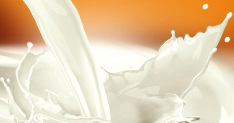 哈萨克斯坦人乳制品消耗量不足