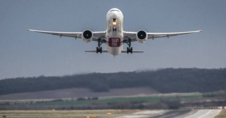 Қозғалтқышқа түскен құс ұшақты тоқтатты