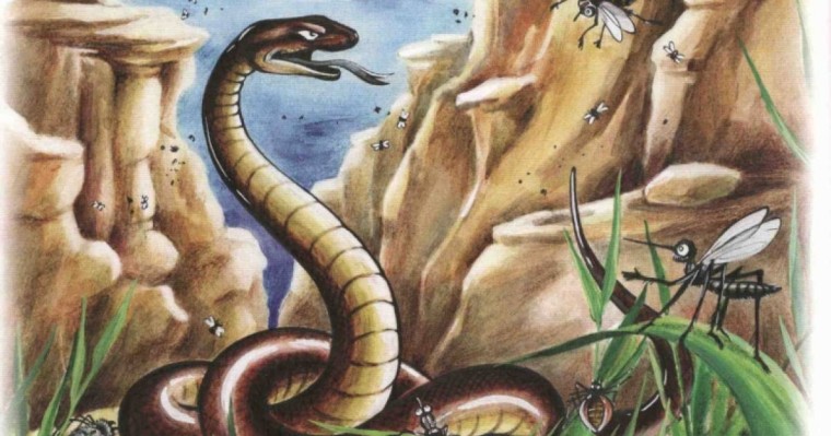 Ертегі: Қарлығаштың құйрығы неге айыр? (сурет, видео)