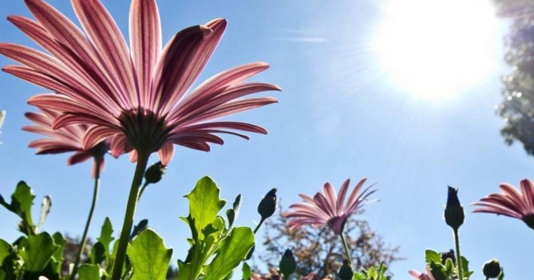 未来两天天气：大部分地区天气炎热