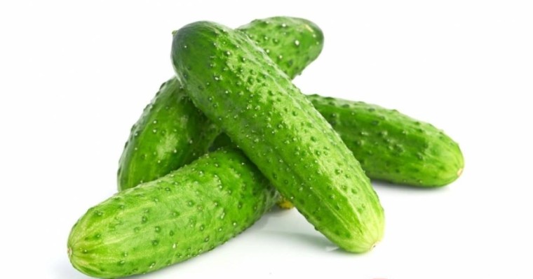 Қиярдың пайдасы