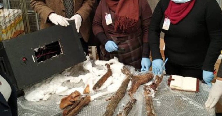 Белгісіз біреулер Каирден ежелгі мумияны поштамен жібермек болған