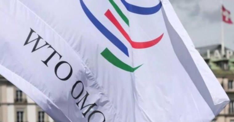 乌兹别克斯坦启动加入世贸组织谈判