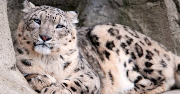 Ауыл шарушылық министрлігі мұның қашан және қайда болғанын анықтап жатыр