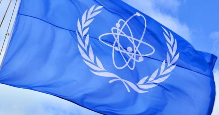 国际原子能机构指定代理总干事